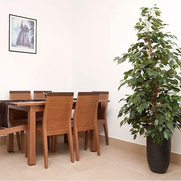 Ferienwohnung Beau views Peyia Exterior foto